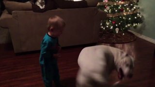 baby and dog have a ball