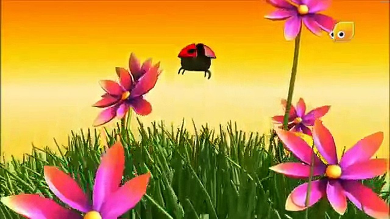 نان و ليلي   دعسوقه   قناة براعم