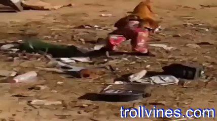 Just a chicken wearing a sweat pants.