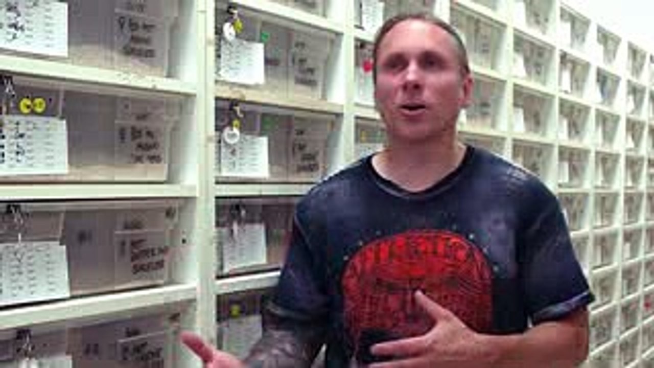 400th Episode of SnakeBytesTV! SnakeBytesTV - E...