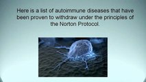 The Autoimmunity Bible & Norton Protocol Reviews-Know What's Good And Bad