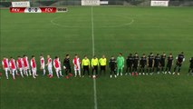 FK VOJVODINA (SRB) vs. FC VITORUL (ROM) | International friendly