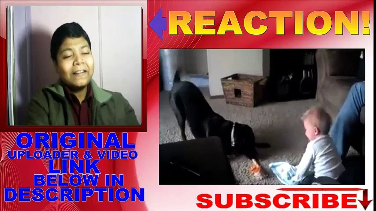 SO  MUCH  FUN FUNNY VIDEO OF DOG AND KID!!!