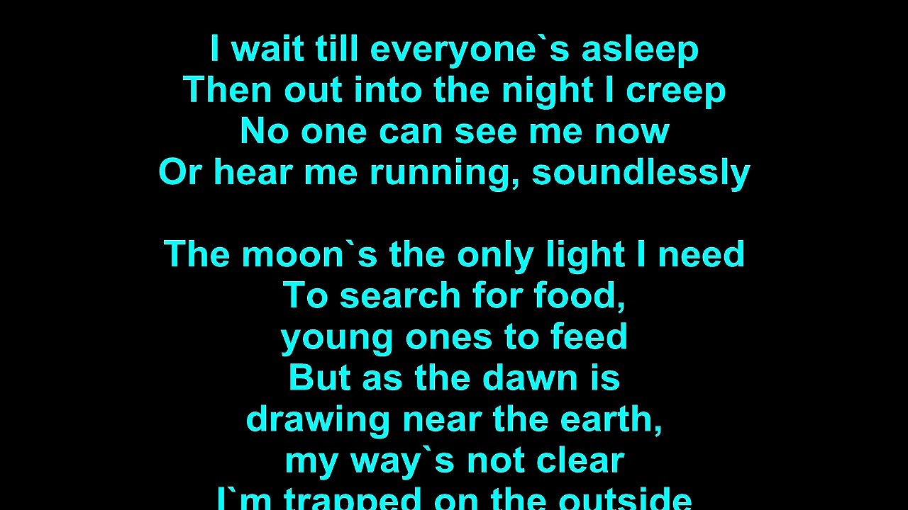 Electric Light Orchestra – The Fox Lyrics