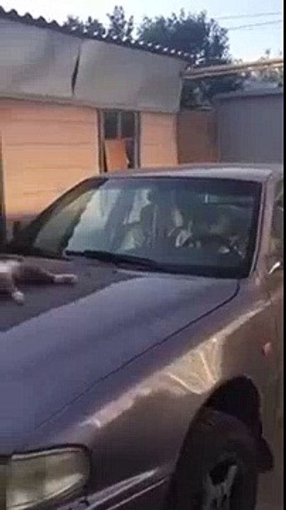 ha ha ha  totally relax