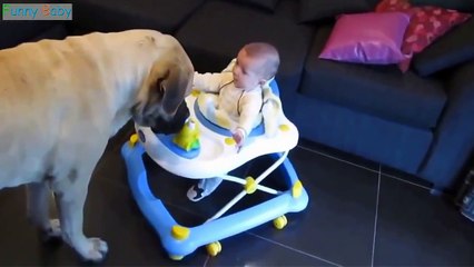 Funny Baby Videos - Funny Dog - Cute baby funny videos 2016 Part 1
