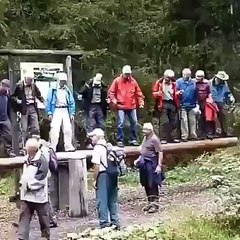 lolz its amazing funny videos Must Watch