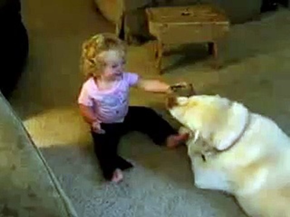 Funny Baby 2016 laughing With Dog & fun videos