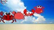 Youtube Nursery Rhymes  Crabs Finger Family Song for Baby  Finger Family Rhymes Collection (FULL HD)