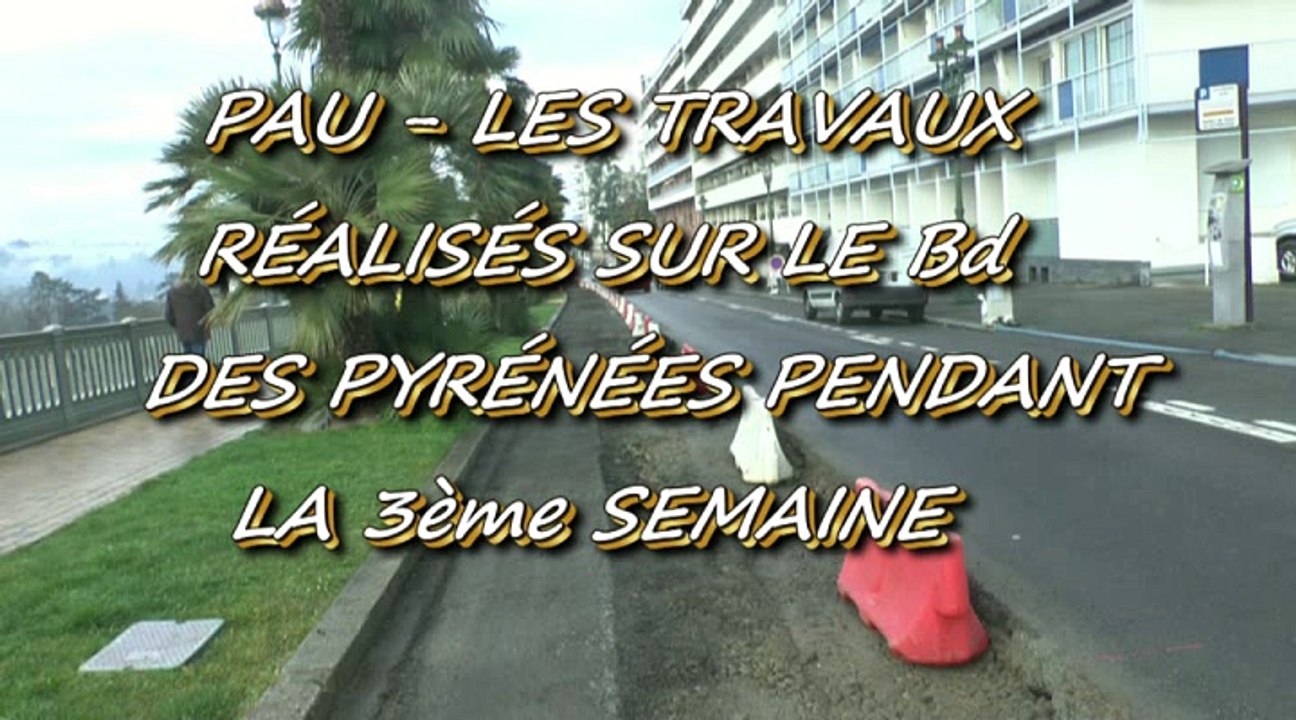LES W-D.D. MICHOU NEWS - 23 JANVIER 2016 - LES TRAVAUX RÉALISÉS SUR LE BOULEVARD DES PYRÉNÉES LA 3e SEMAINE DE JANVIER
