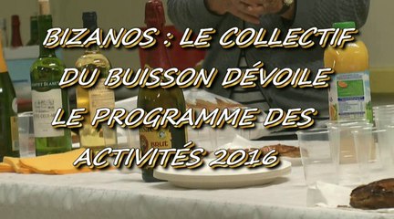 LES W-D.D. MICHOU NEWS - 25 JANVIER 2016 - LE COLLECTIF DU BUISSON DÉVOILE LE PROGRAMME DES ACTIVITÉS 2016