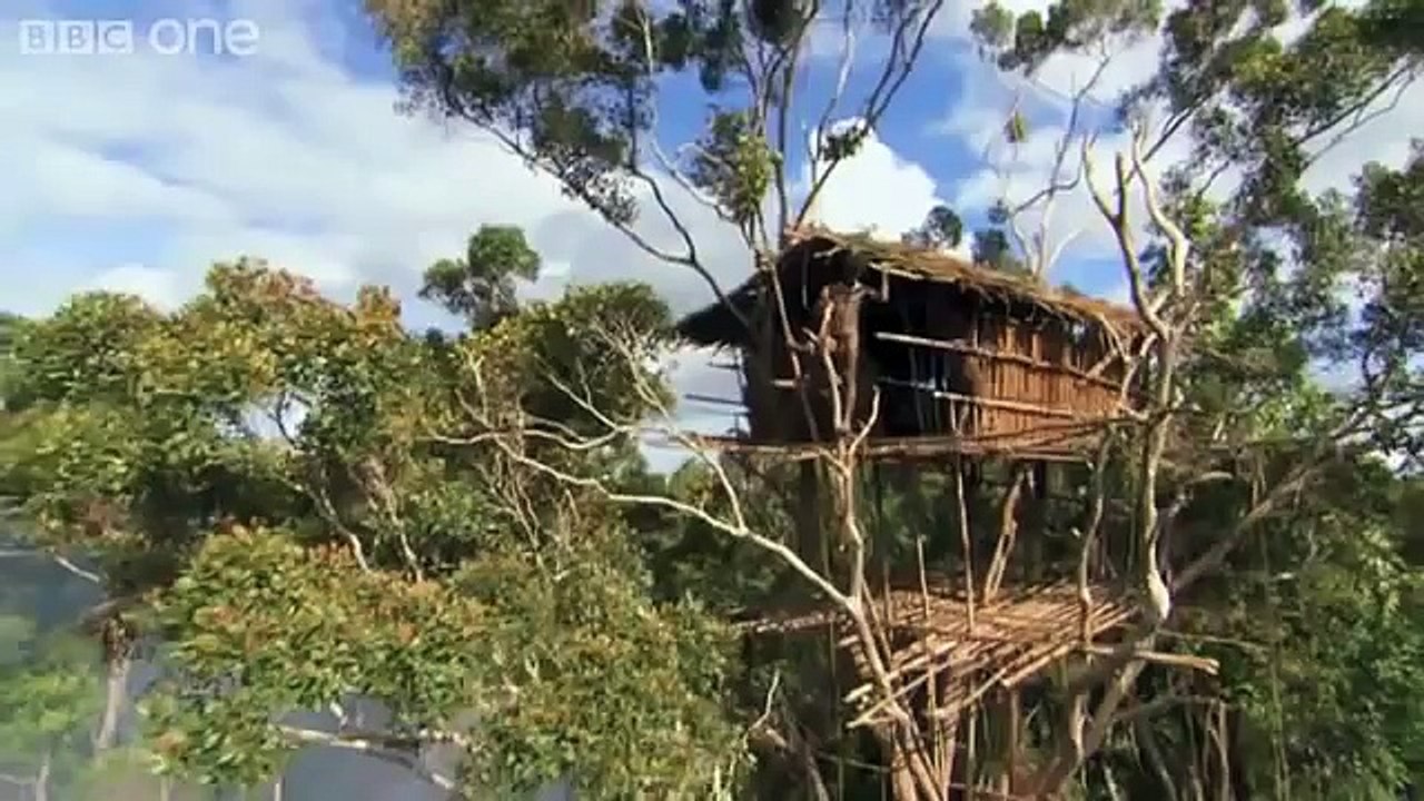 Потрясающие моменты жизни на нашей Планете