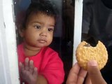 Funny Baby tries to eat through glass =)