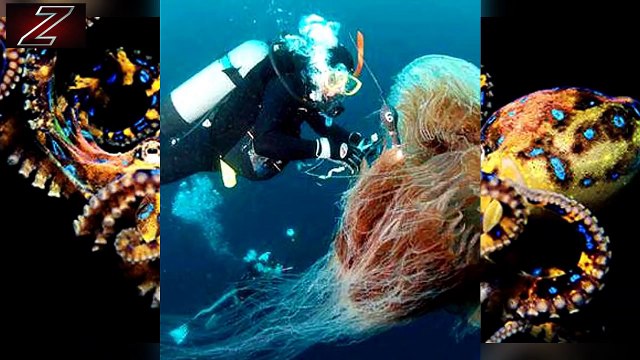 САМЫЕ ОПАСНЫЕ ЖИВОТНЫЕ МИРА