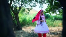 Gudar Ta Zina - Tahir Shubab - Pashto New Song Album Bes Of Aliya Khan Vol 1 HD 720p