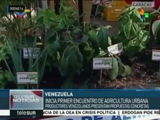 Venezuela: productores participan en encuentro de agricultura urbana