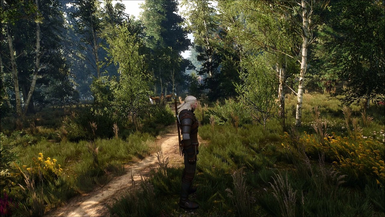 Witcher 3