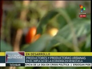Venezuela: Asiste Maduro al Primer Encuentro de Agricultura Urbana