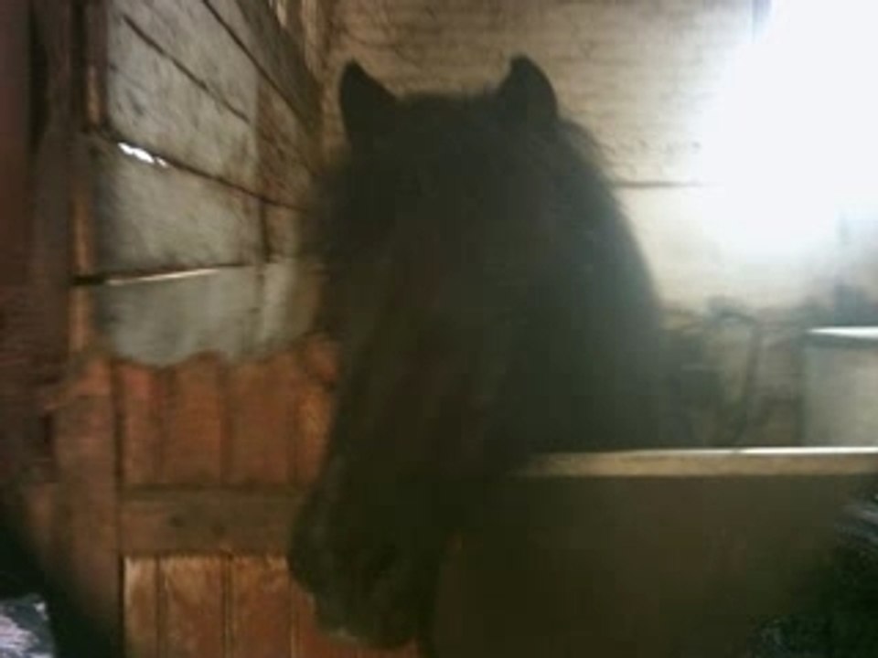 Cacahuete mon amour_0001