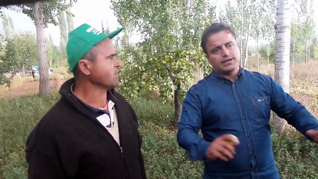 Elma Gübresi, Elma Ağacı Gübrelemesi, Gübreleme