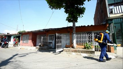 اكثر من 20 الف اصابة بفيروس زيكا في كولومبيا