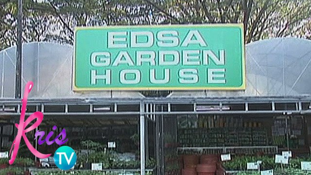 Kris TV: Edsa Garden House