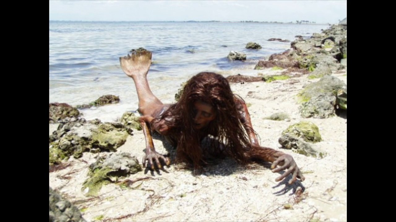 Real Mermaid Found