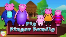 Animal Finger Family Collection - 8 Animal Finger Families Medley