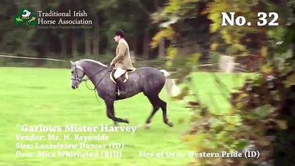 TIHA Hunter Show and Go 2015 - 32