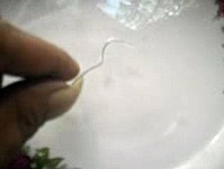 pengetesan bulu perindu