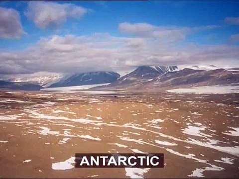 Biomes - Arctic Tundra And Polar Desert - Part 2 - Kids Learning Videos