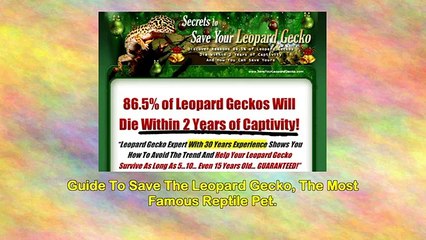 Save Your Leopard Gecko
