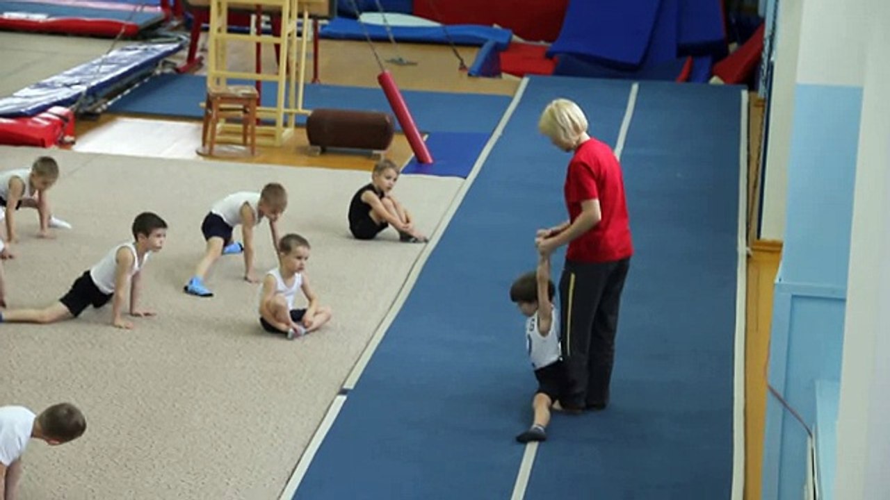 спортивная гимнастика 2013