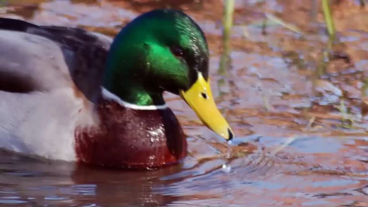 Photography Masterclass   Learn Digital Photography The Smart Way