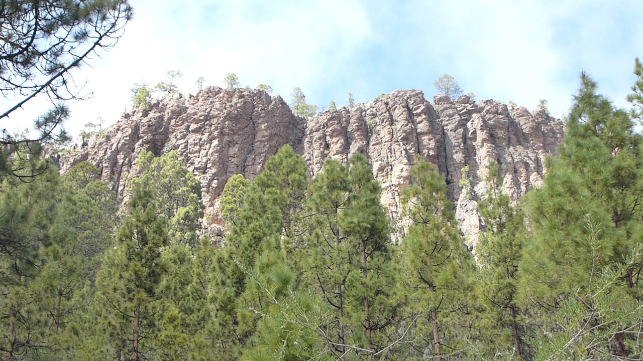 Vilaflor - kiefernwald und orgelpfeifen