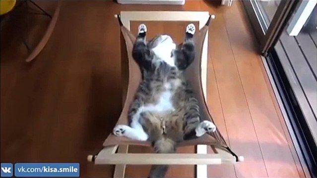 дневной отдых.