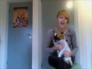 Animals Beauty Centrum   Clickertraining theorie