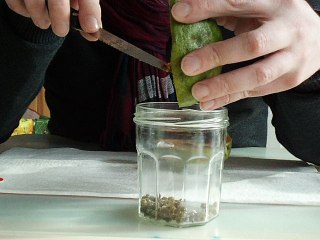 SCIE - Découpe d'une mangue