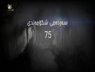 درمای سه رده می شکۆمه ندی ئه ڵقه ی 75