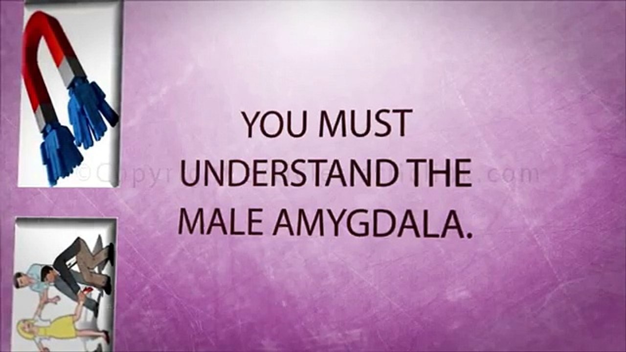 Guy Magnet System Review.