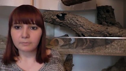 ClickerTraining  - die ersten Schritte!