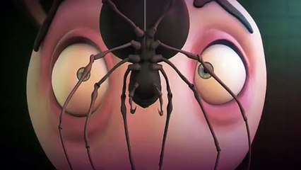 A is for Arachnophobia - Figaro Pho