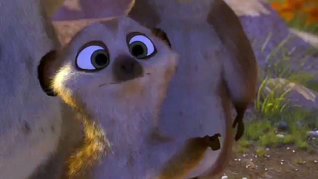 THE HAYKONA (Funny Videos 720p)