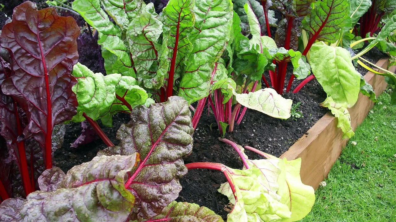 Garden Planner Tutorial Series