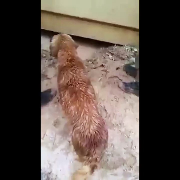 İşte annelik böyle bir şey!