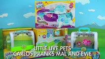 Little Live Pets Attack Mal and Evie Prank with Descendants Carlos. DisneyToysFan.