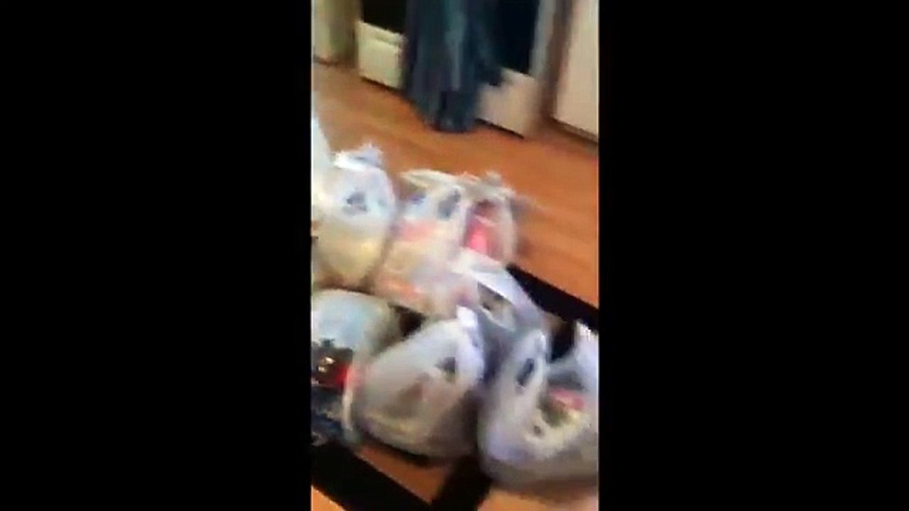 XF V Log Mental Battle With Reverse Dieting & Grocery Pickups cutting