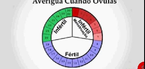 como quedar embarazada-maternidad