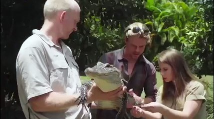 Bindi Irwin & Derek Hough \"Feeding Time At Australia Zoo\"