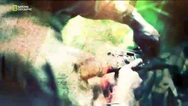 Исследователь 2.0 Воины за слоновую кость (2016)